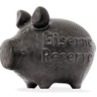Piggy Bank - Iron Reserve